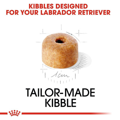 Tailor-made kibble for Labrador Retrievers with a measurement label on a white background