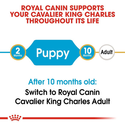 Royal Canin pet food label for Cavalier King Charles with age stages and transition information.