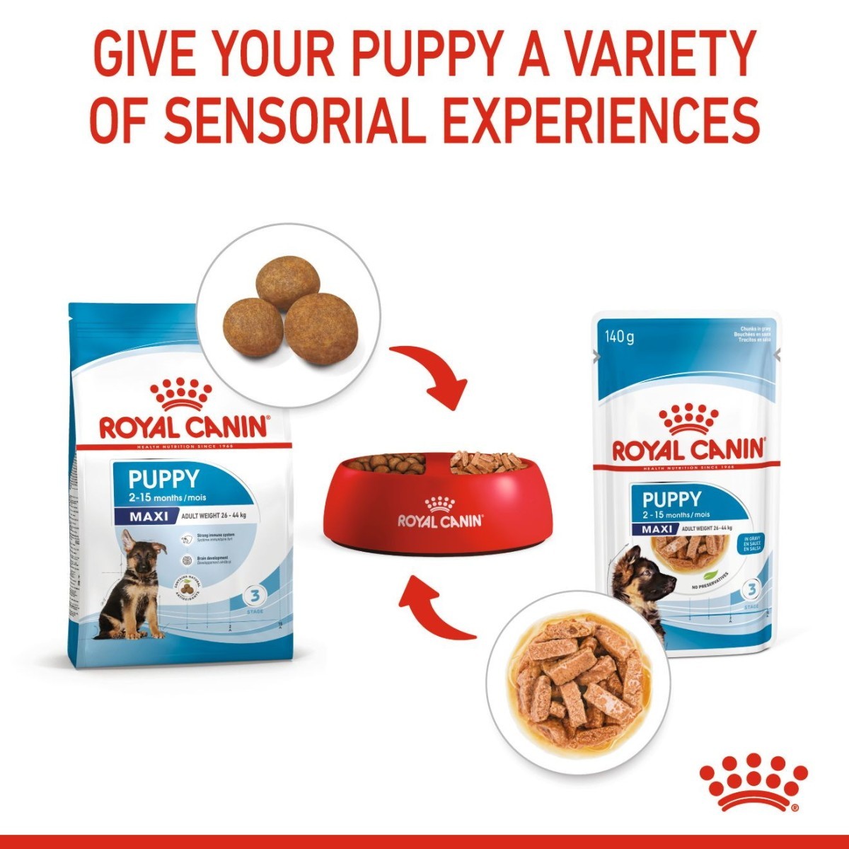 Royal Canin puppy food packaging with text on a white background