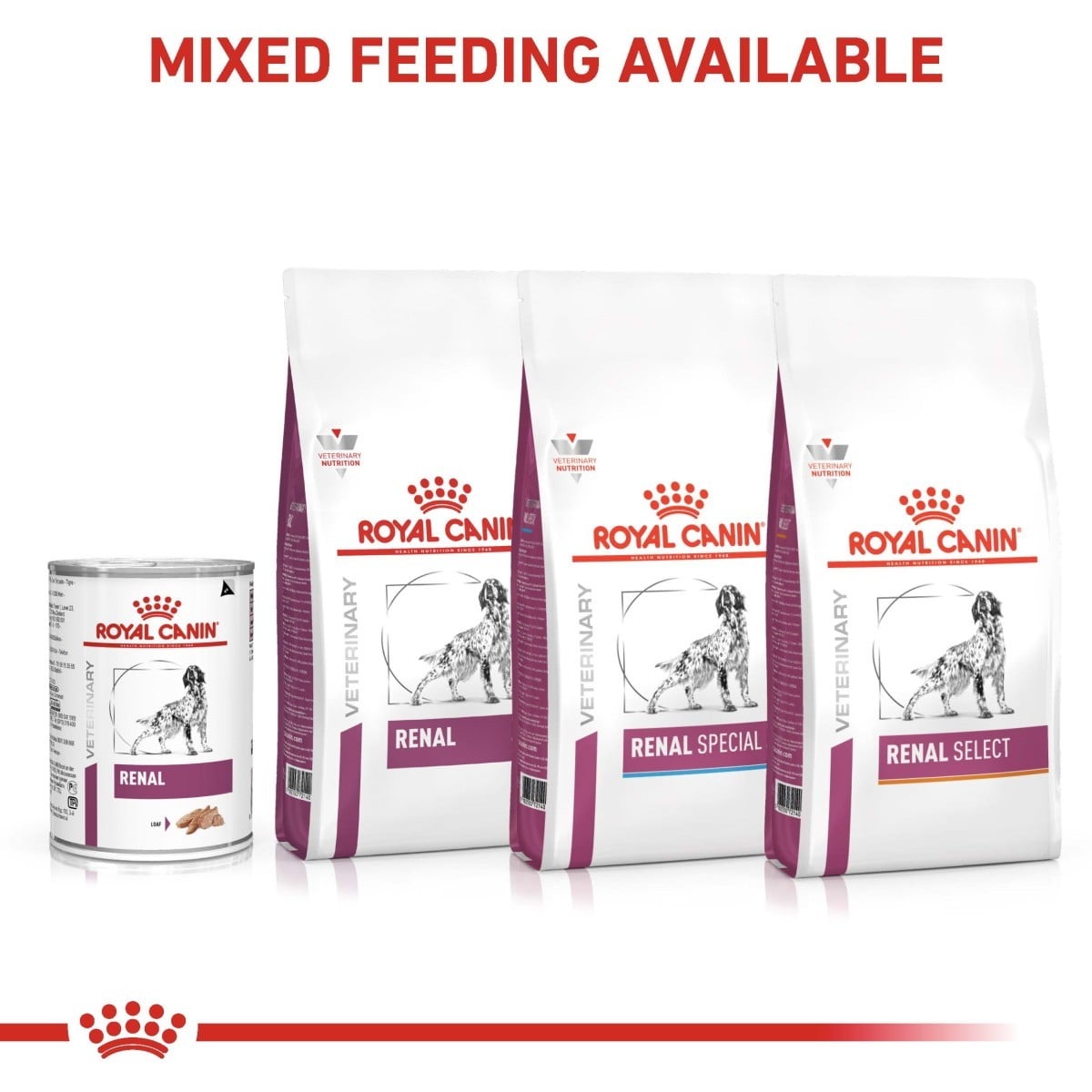 Royal Canin veterinary diet products for renal health on a white background