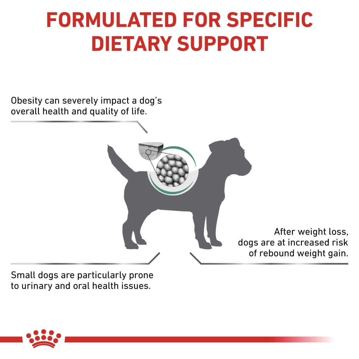 Dog dietary support information with a silhouette of a dog and text about obesity and health issues.