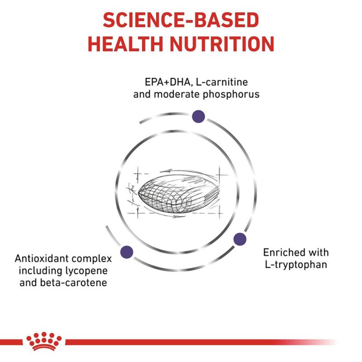 Diagram of science-based health nutrition with text and a red banner at the bottom.