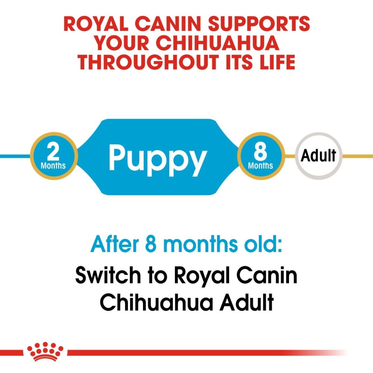 Royal Canin pet food label for Chihuahua with stages of growth and switching advice.