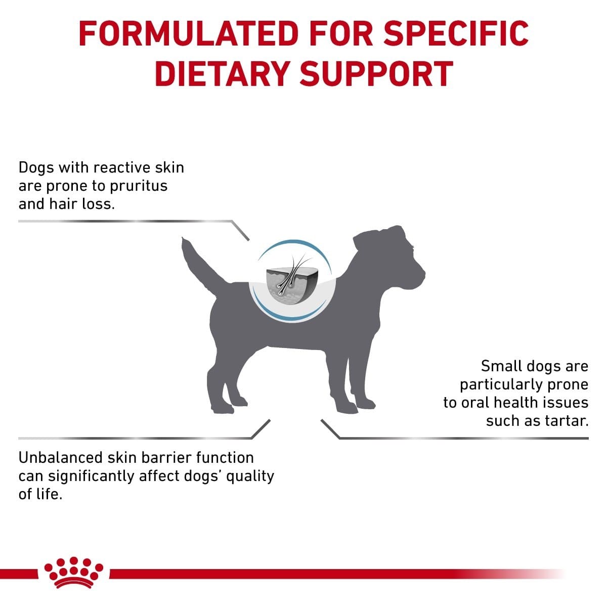 Dog health information graphic with text about dietary support for dogs with reactive skin and small dogs.