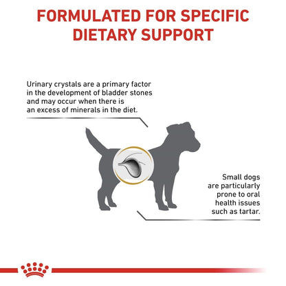 Dog infographic about dietary support for urinary health and dental care.