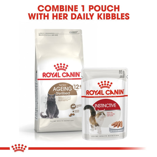 Two Royal Canin cat food packages on a white background with text.