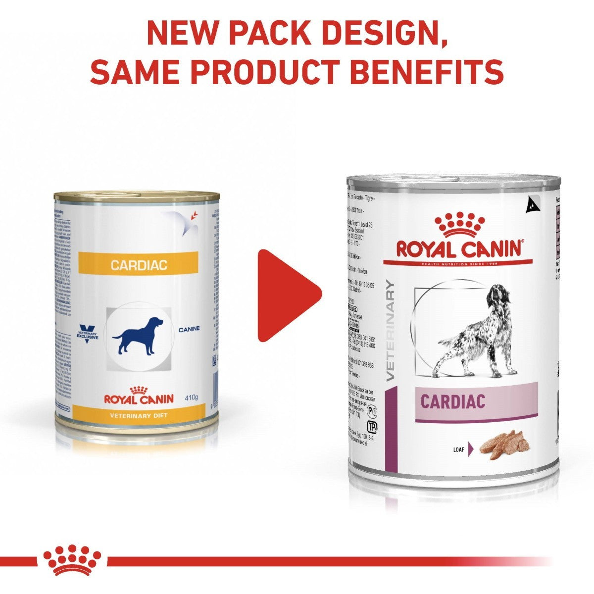 Heart care diet for dogs
