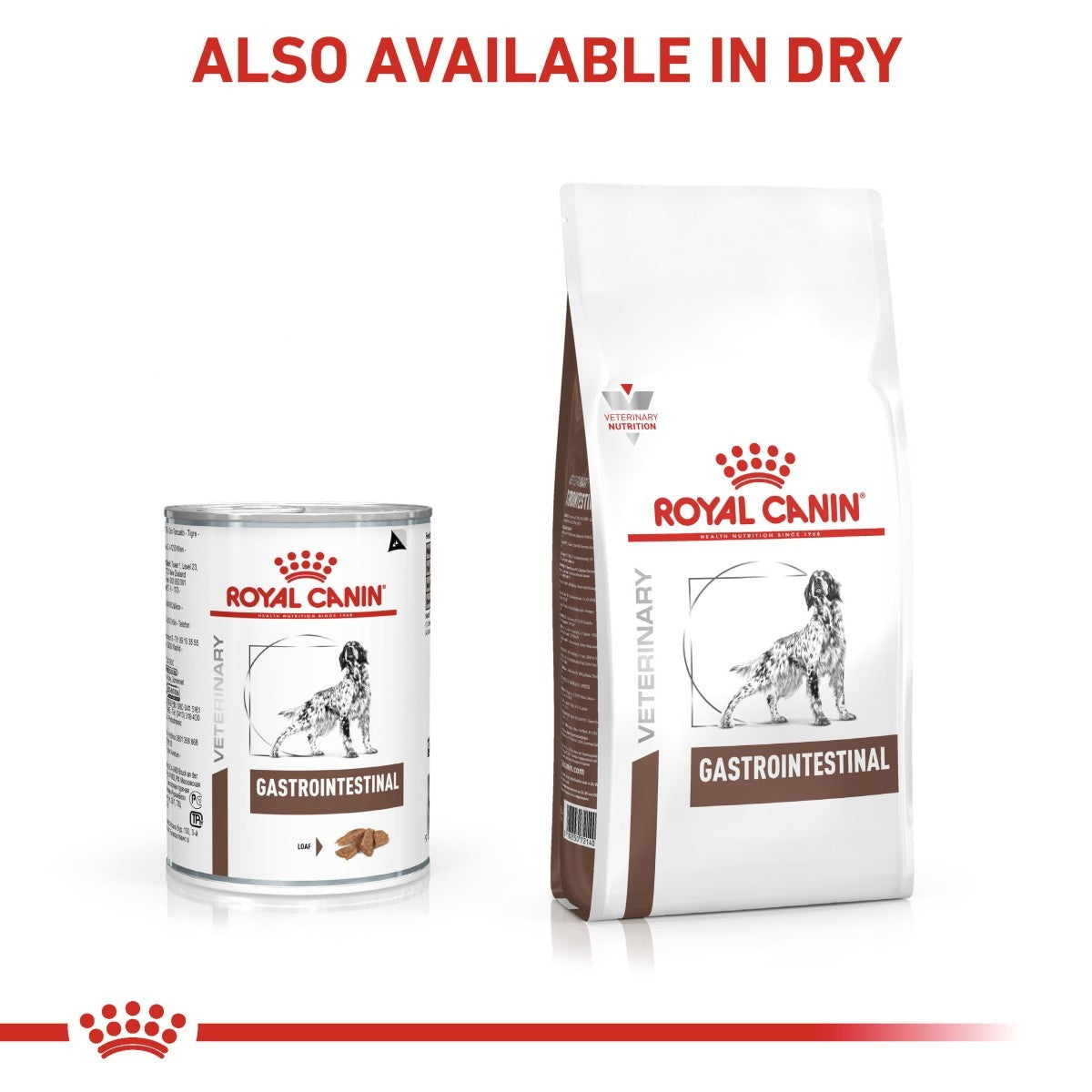 Royal Canin Gastrointestinal pet food can and bag on a white background