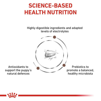Diagram of science-based health nutrition for puppies with text and a crown logo at the bottom.