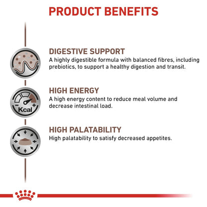 Product benefits of a pet food formula with digestive support, high energy, and high palatability on a white background.