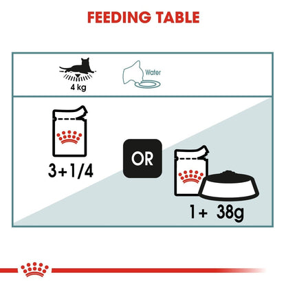Feeding table diagram for a cat with weight, water, and food icons.