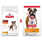 Load image into Gallery viewer, Hill’s chicken dog kibble
