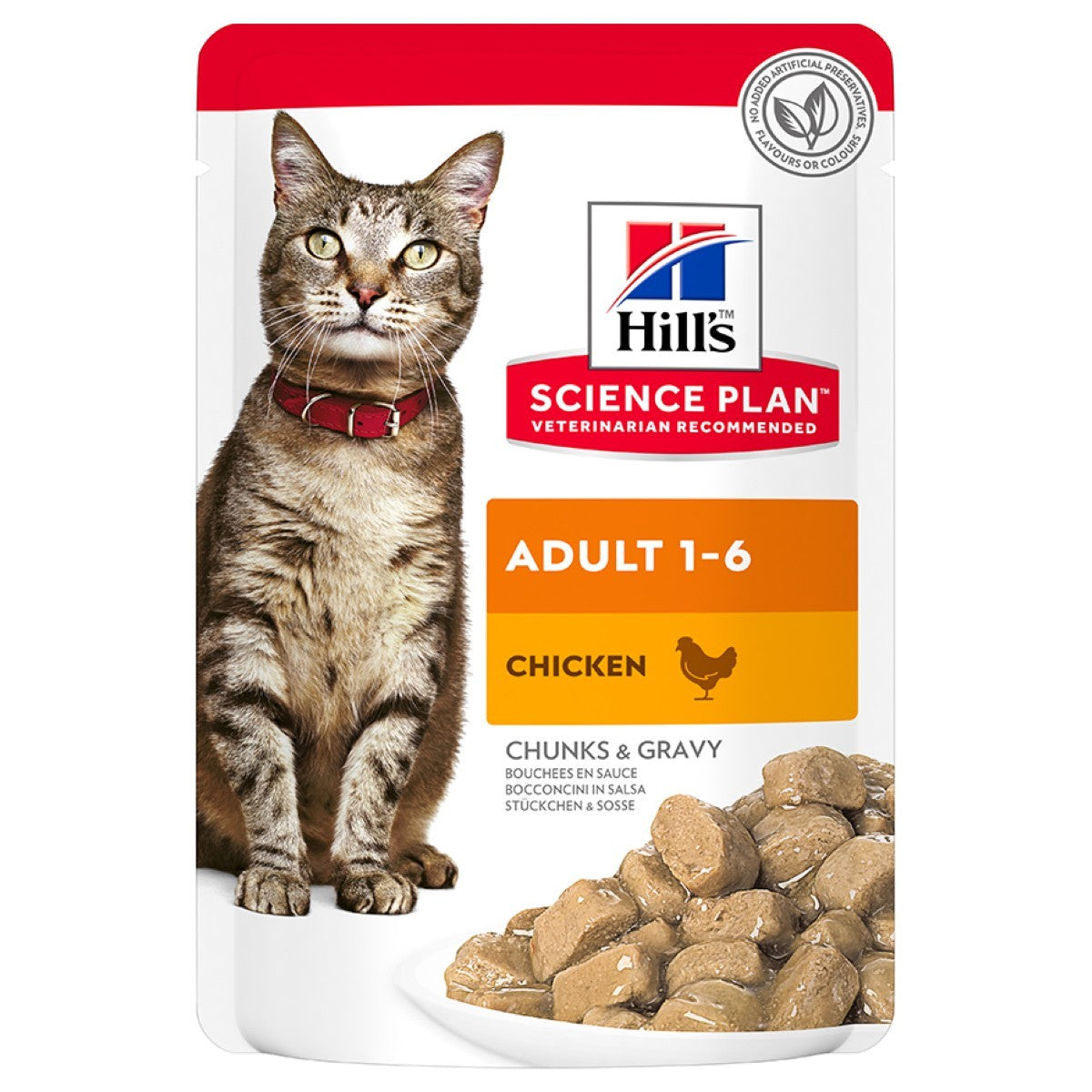 12 pack wet cat food