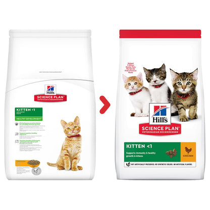 Dry food for kittens