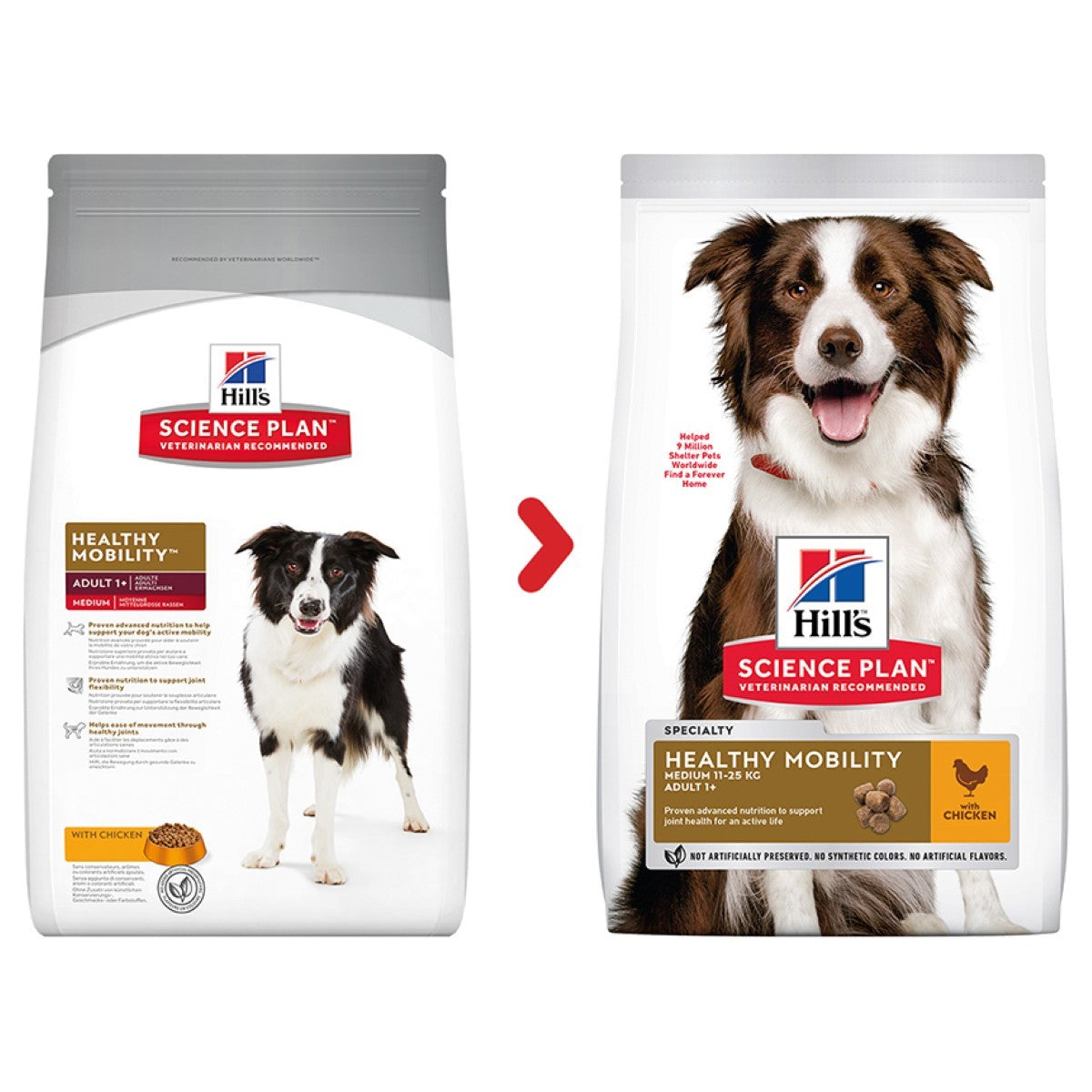 Joint support dry dog food