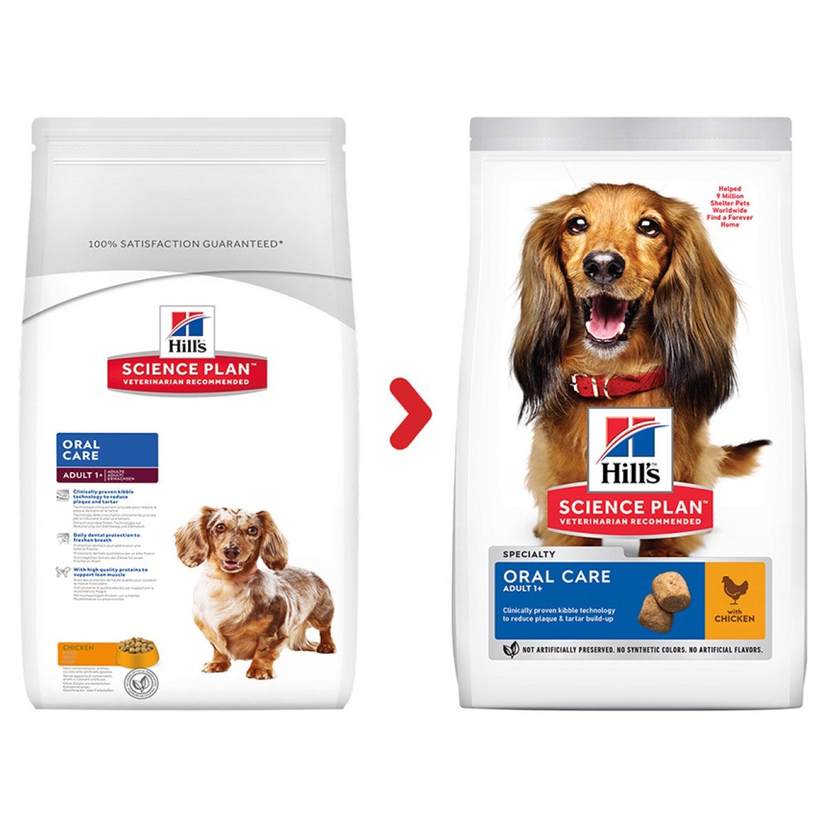 Dog food for teeth