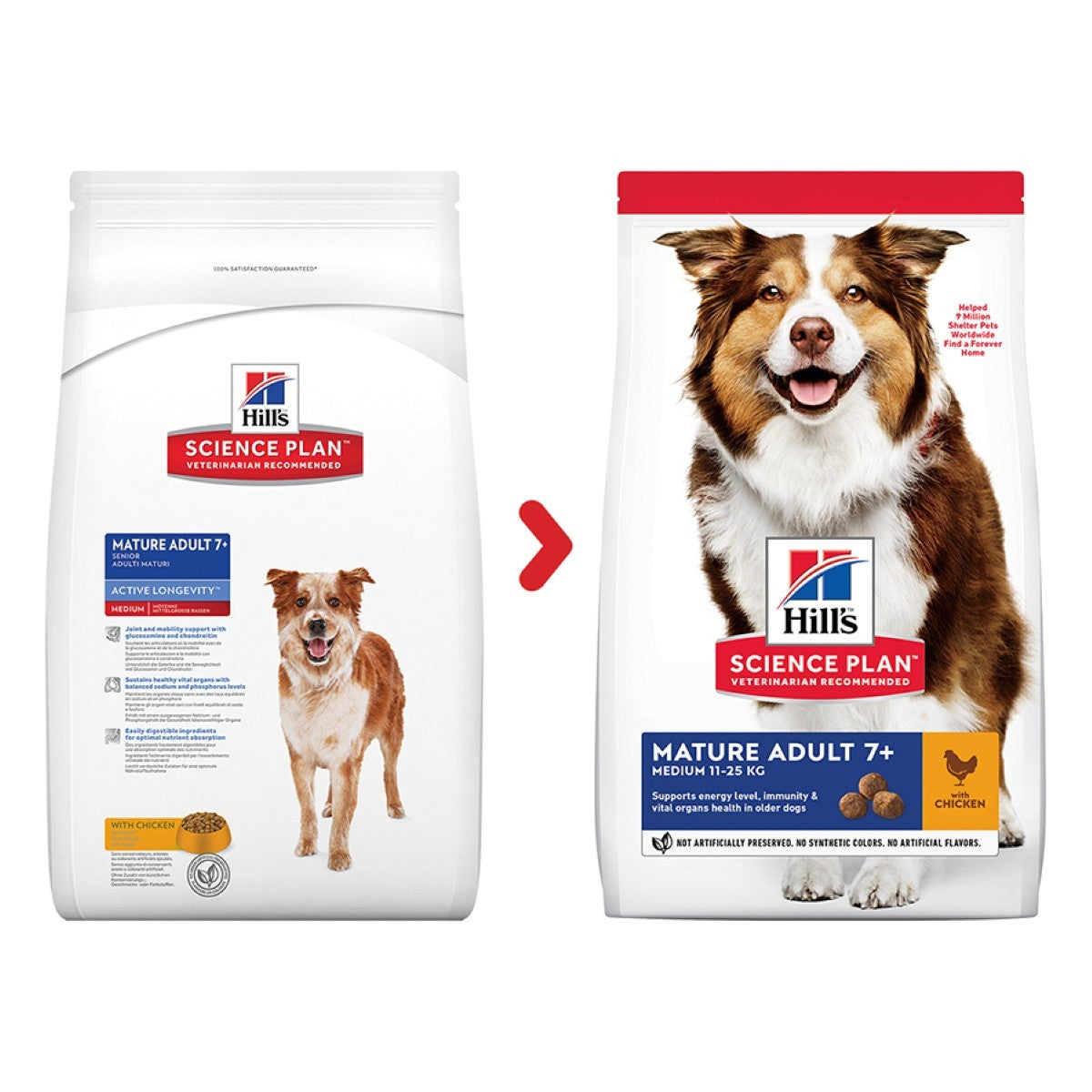 Chicken food for dogs