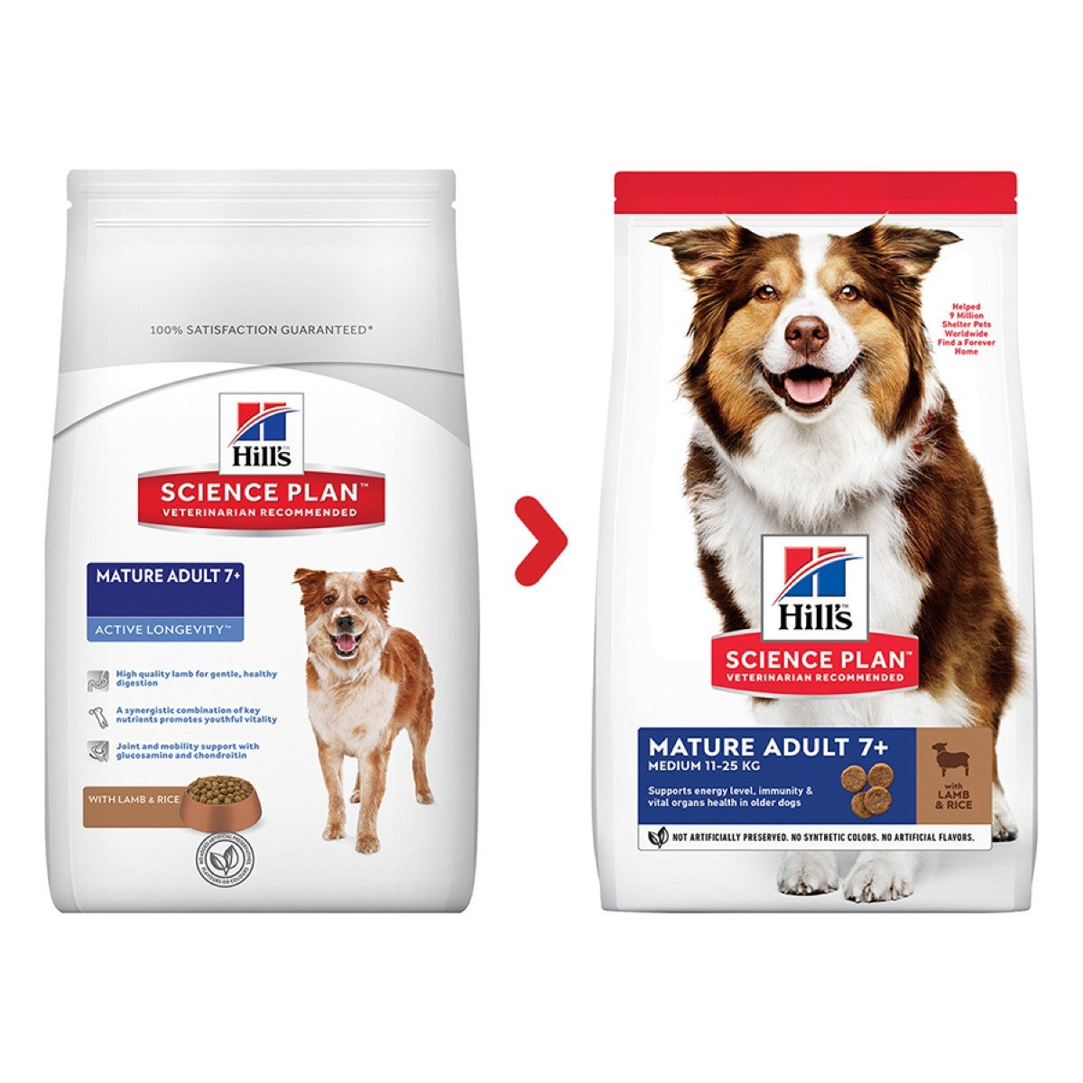 Lamb food for dogs
