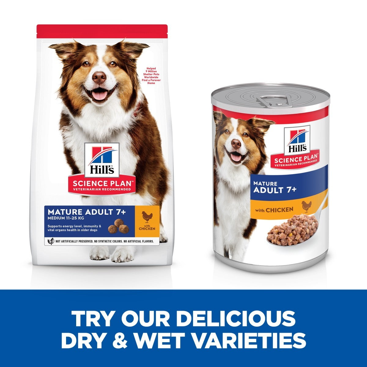 Wet food for seniors