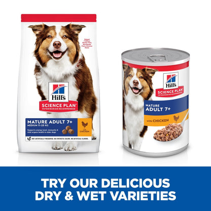 Wet food for seniors