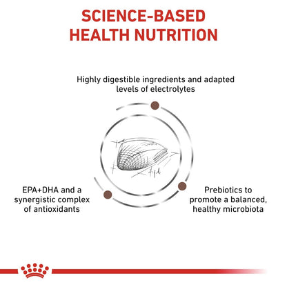 Diagram of science-based health nutrition with ingredients and benefits on a white background.