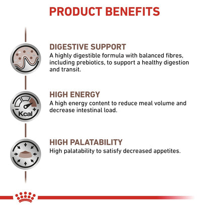 Product benefits of a pet food formula with digestive support, high energy, and high palatability.