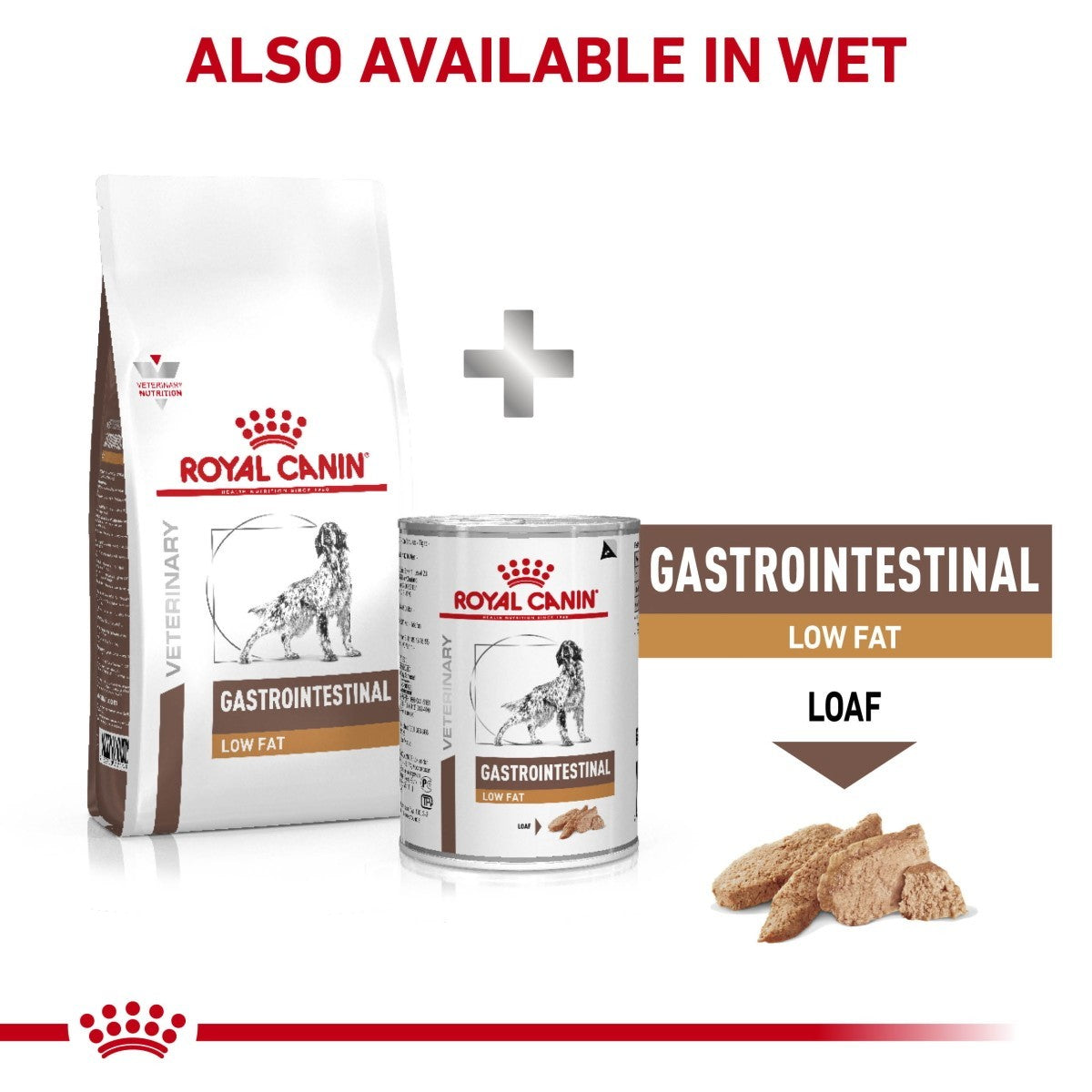 Royal Canin Gastrointestinal pet food packaging on a white background
