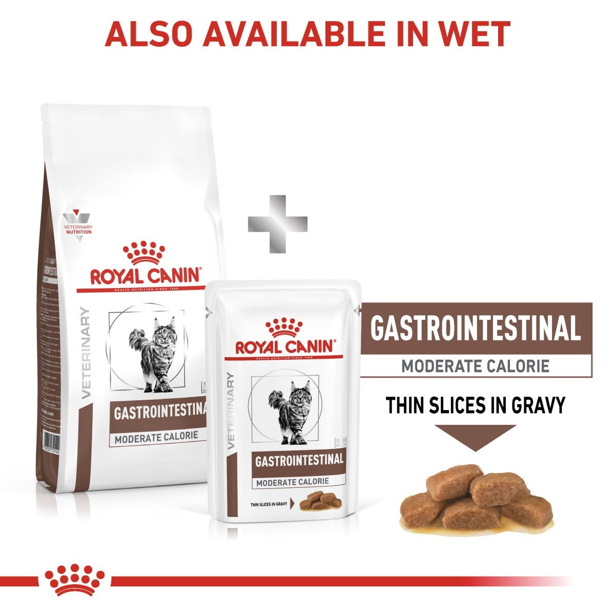 Royal Canin Gastrointestinal cat food packaging with text indicating availability in wet format.