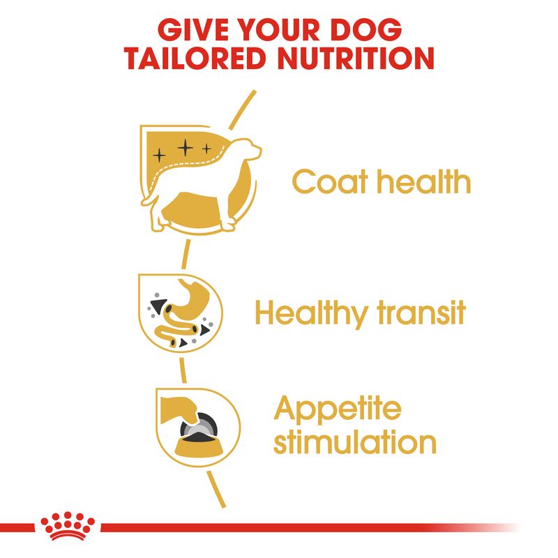 Diagram of dog nutrition benefits including coat health, healthy transit, and appetite stimulation with a red and yellow color scheme.