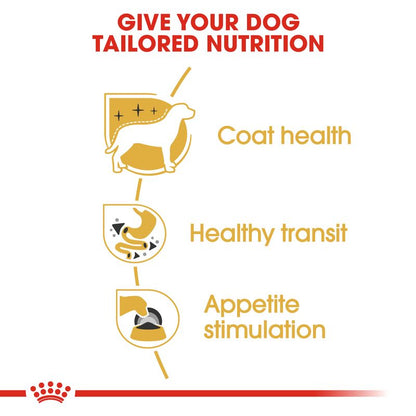 Diagram of dog nutrition benefits including coat health, healthy transit, and appetite stimulation with a red and yellow color scheme.