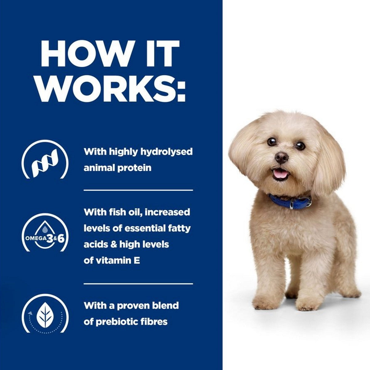 Z/D dry food dogs