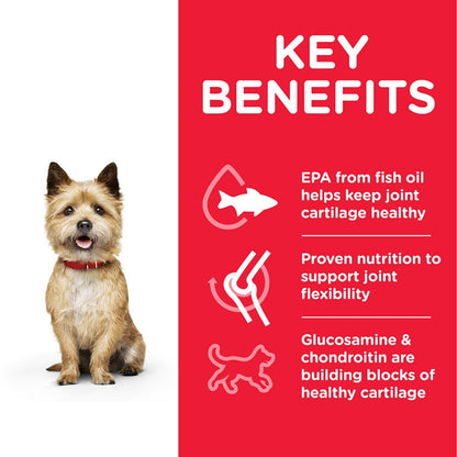 Healthy mobility small breed
