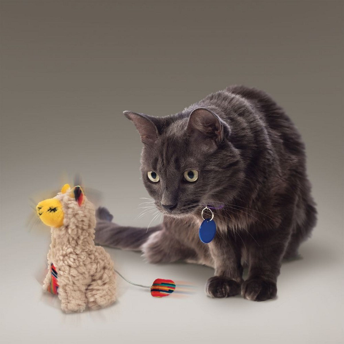 Gray cat playing with a toy llama on a neutral background
