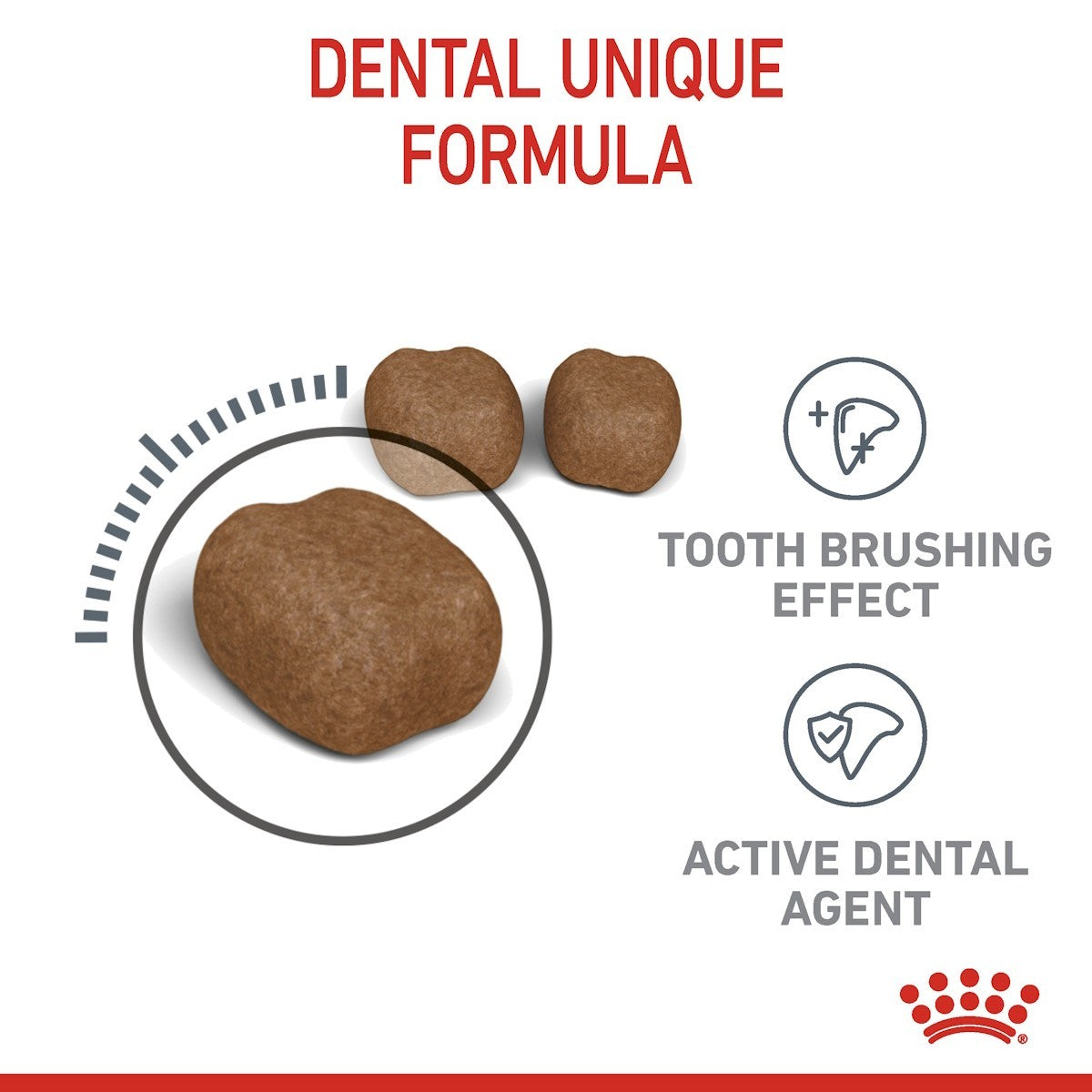 Dog treats with 'Dental Unique Formula' text and graphics on a white background