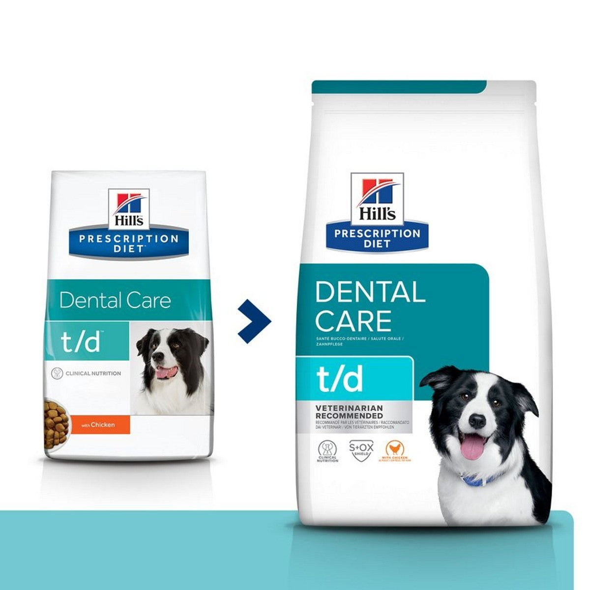 Dog dental health diet