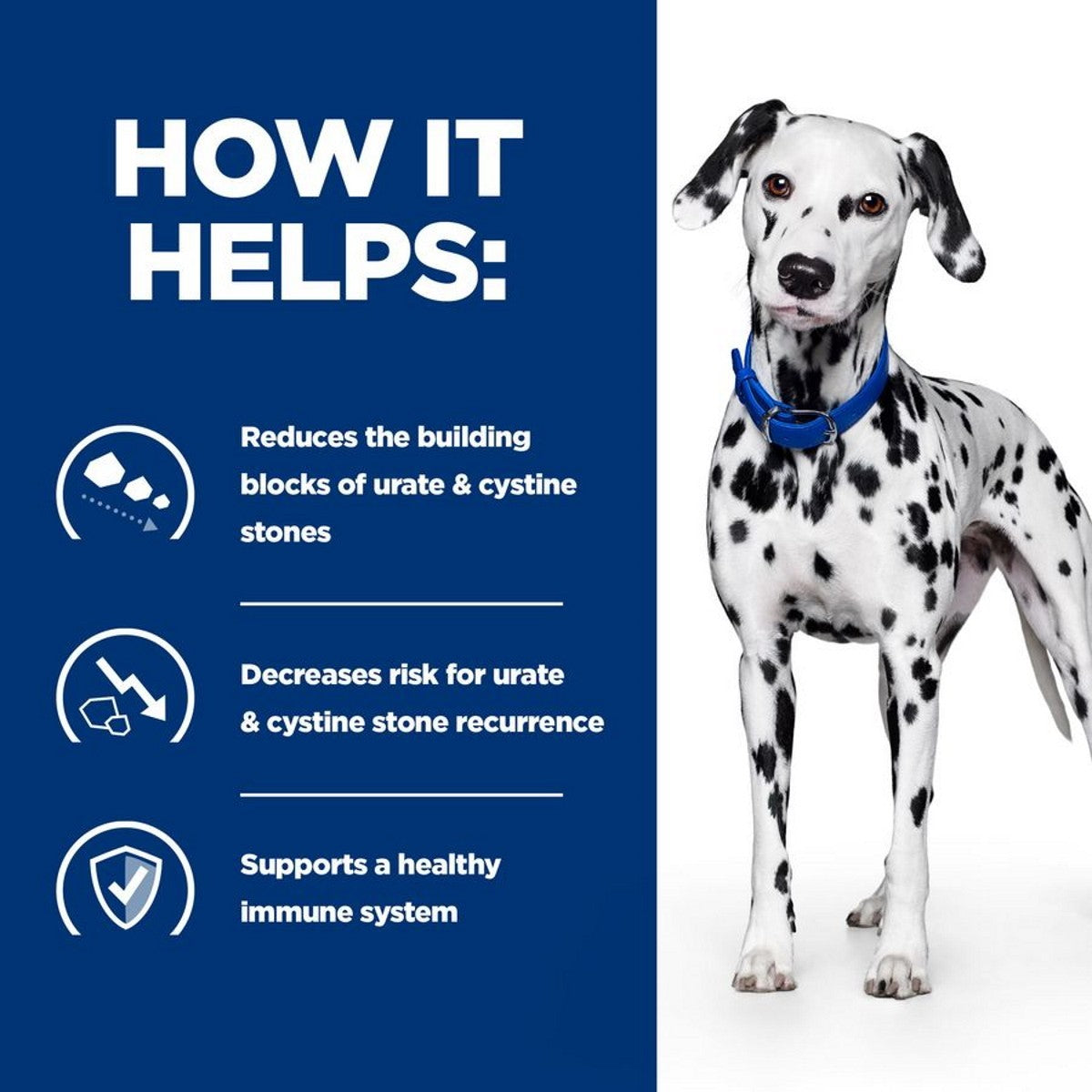 Dog food urinary support