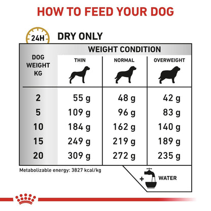 Dog food feeding chart for different weights and conditions with a red and white background.