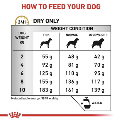 Feeding chart for dogs with weight and condition categories