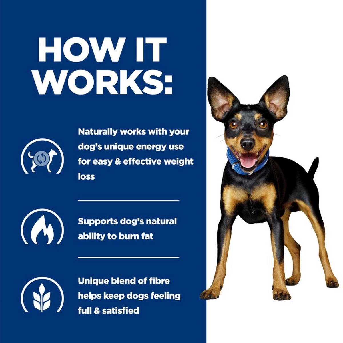 Vet-approved mini dogfood