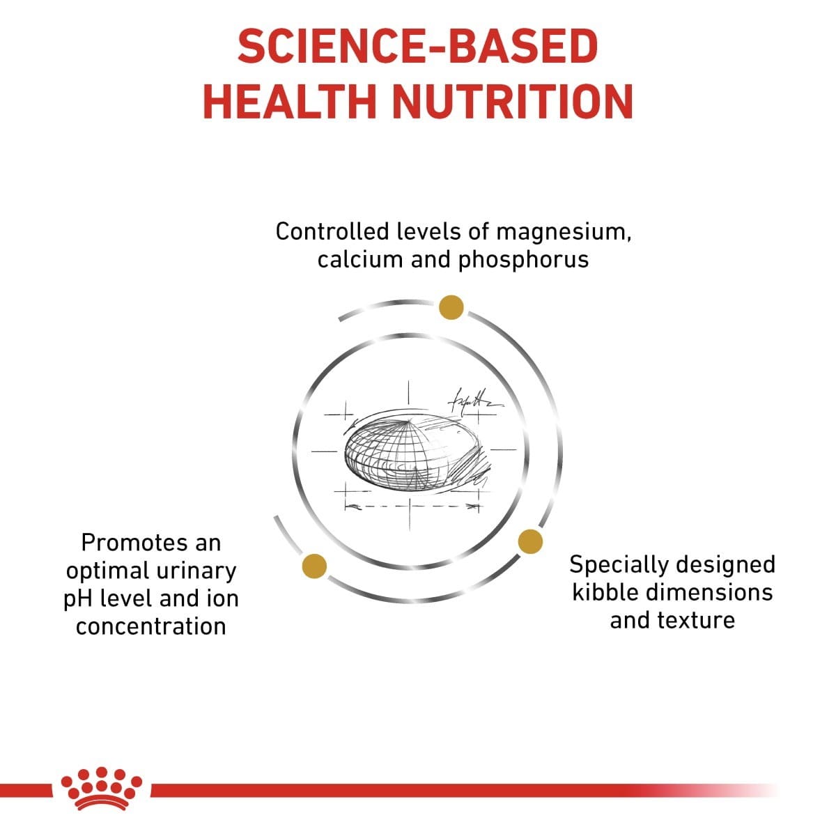 Diagram of science-based health nutrition with text and a kibble illustration on a white background.