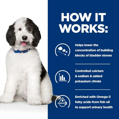 Dog with a blue background and text about bladder stone prevention