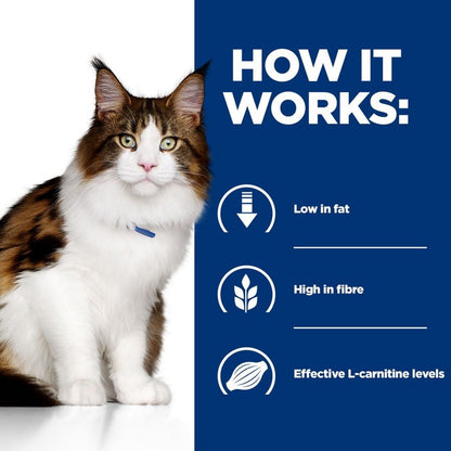 Prescription diet for cats