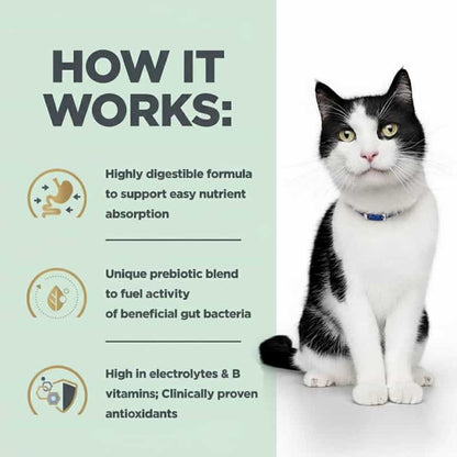 Cat with text on a green background explaining a highly digestible formula for easy nutrient absorption.
