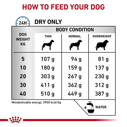 Dog food feeding chart for different body conditions and weights