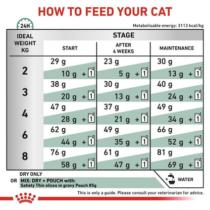 Cat food feeding chart指导如何喂养您的猫