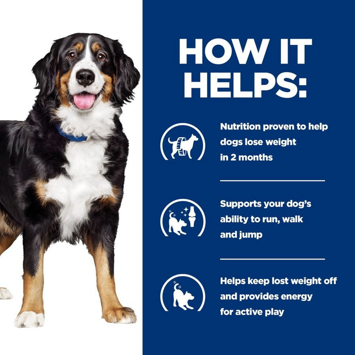 Veterinary mobility dog diet