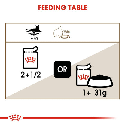 Feeding table diagram for a cat with weight, water, and food icons.