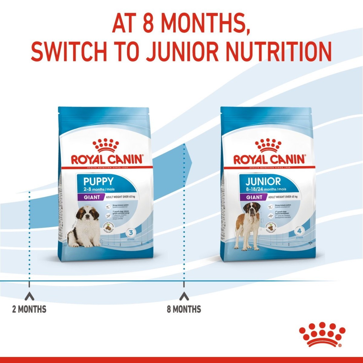 Royal Canin puppy and junior nutrition dog food packages with text indicating switching at 8 months.