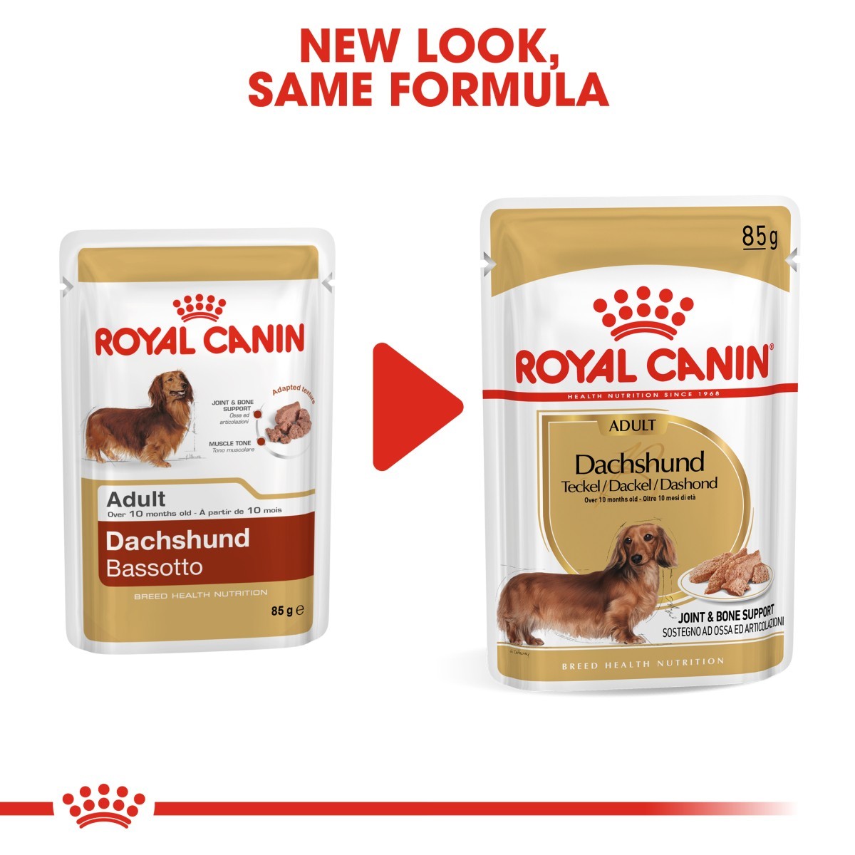 Two packages of Royal Canin Dachshund food with a red arrow and text indicating 'New Look, Same Formula'.