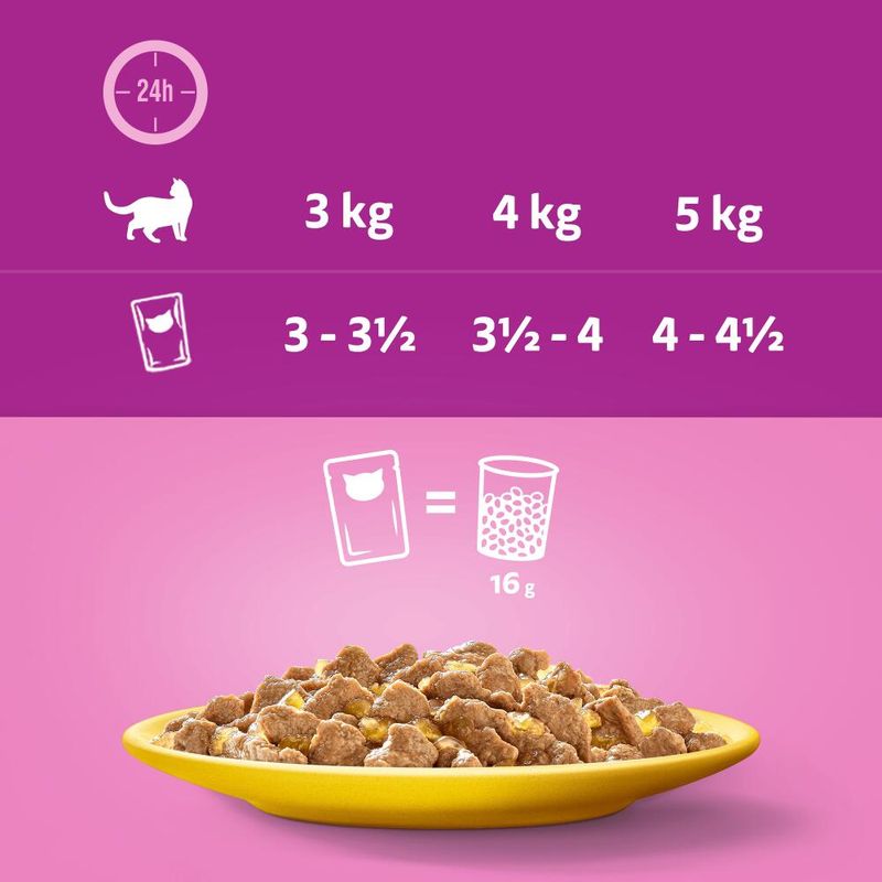Cat food packaging with weight and portion size information on a pink background